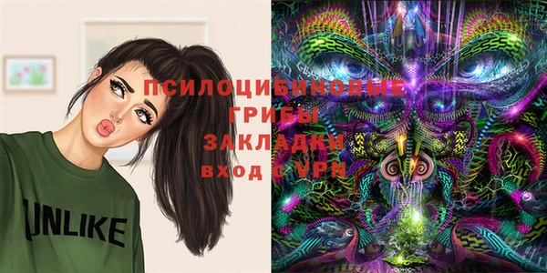 мдма Дмитриев