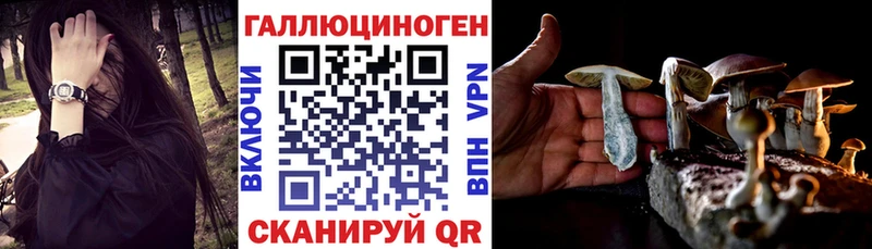 Купить закладки  Хотьково  Псилоцибиновые грибы GOLDEN TEACHER 